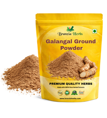 Galangal Ground Powder Wholesale - Branzia Herbs