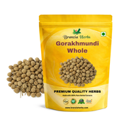 Gorakhmundi - Gorakh Mundi - East Indian Globe Thistle - Sphaeranthus indicus - Branzia Herbs