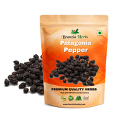 Patagonia (Chilean) Pepper Wholesale Branzia Herbs