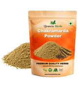 Chakramarda Powder – Kuvadva Powder – Cassia tora - Branzia Herbs