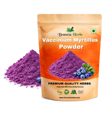 Vaccinium Myrtillus Extract - Branzia Herbs