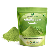 Alfalfa Leaf Powder - Branzia Herbs