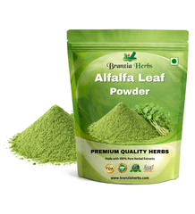 Alfalfa Leaf Powder - Branzia Herbs
