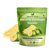 Garcinia Cambogia Extract Powder - Branzia Herbs