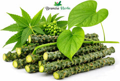 Fresh Giloy Stem Sticks with Natural Neem – 10 Pieces Organic Ayurvedic Herbal Remedy for Immune Support, Detox, Wellness & Daily Herbal Care