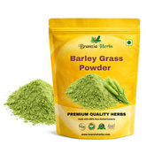 Barley Grass Powder - Hordeum vulgare - Branzia Herbs