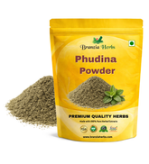 "Phudina Powder – Mint Leaves Powder " - Branzia Herbs