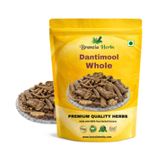 Dantimool -Danti mool -Baliospermum Montanum-Hakum - Branzia Herbs