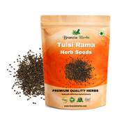 Tulsi Rama Plant Seeds | Herb Seeds Branzia Herbs