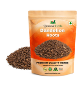 Dandelion Roots-Singhparni Jadd - Branzia Herbs