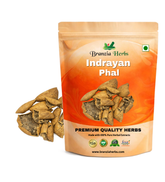 Indrayan Phal | Bitter Apple | Citrullus Colocynthis Fruit - Branzia Herbs