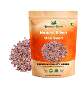 Natural Silver Oak Seed Branzia Herbs