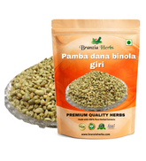 Pamba dana binola giri - cotton seed - gossypium herbaceum - Kapas seed - kapas beej - Branzia Herbs