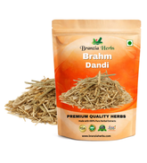 Brahm Dandi | Oont Katara | Tricholepis angustifolia - Branzia Herbs