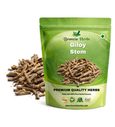 Giloy Stem - Giloi - Guduchi - Amrita - Amruta - Tinospora cordifolia - Branzia Herbs