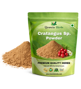Crataegus Sp. Extract Powder - Branzia Herbs
