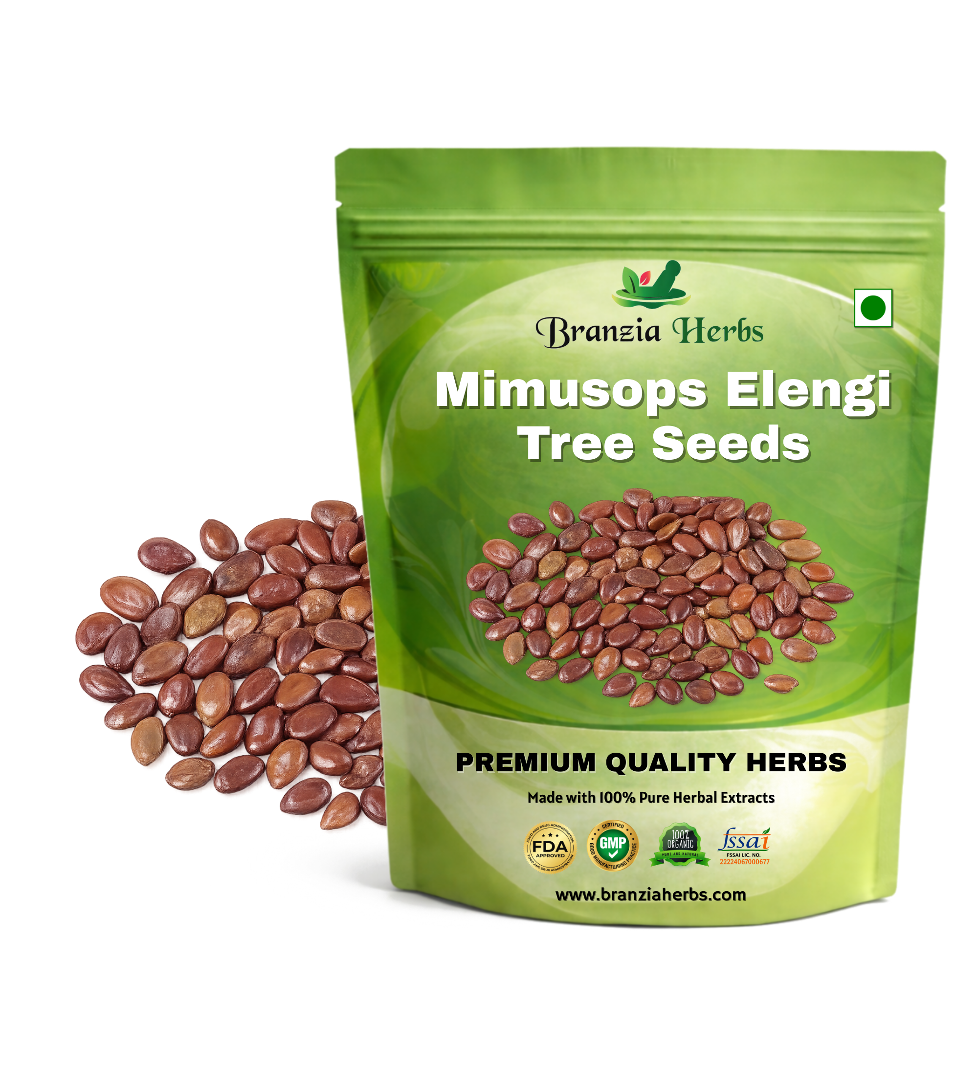 Mimusops Elengi Tree Seed Branzia Herbs