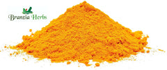 Turmeric Root Extract (Curcumin) Powder - Branzia Herbs