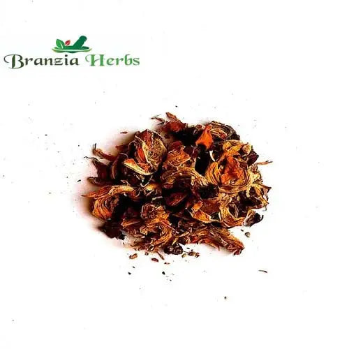 Palash Phool - Tesu Flower - Phool Tesu - Dhak Fool - Butea Monosperma - Branzia Herbs