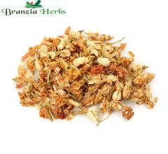 Jasmine Flower (Dried) - Chameli Phool - Jasminum Grandiflorum - Branzia Herbs