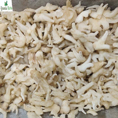White Sugar Free Salam Panja - Branzia Herbs