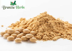 Soyabean Powder - Branzia Herbs