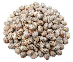 Castor Seeds - Arandi Seeds - Branzia Herbs