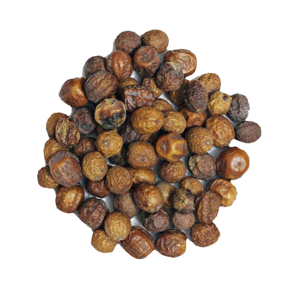 Bakain | Bakayan | Chinaberry | Melia azedarach - Branzia Herbs