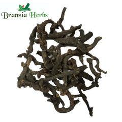 Bisfaij | Brake Root | Polypodium vulgare Linn - Branzia Herbs