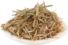 Braham Dandi - Brahm Dandi - Barham Dandi - Tricholepis Angustifolia Seed - Branzia Herbs