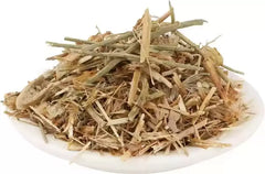 Braham Dandi - Brahm Dandi - Barham Dandi - Tricholepis Angustifolia Seed - Branzia Herbs
