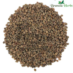 Ajmod - Apium Graveolens - Celery Seeds - Tukham Karfas - Branzia Herbs