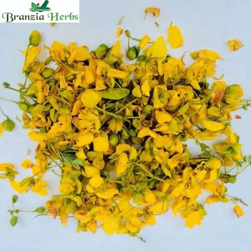 Avarampoo - Senna Auriculata - Avartaki - Dried Tanner flower - Branzia Herbs