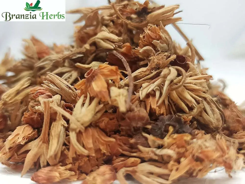 Dried Magilampoo Flower - Mimusops elengi - Dry Spanish cherry Flower - Branzia Herbs