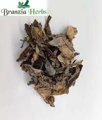Lotus Flower Extract - Nelumbo Nucifera - Branzia Herbs