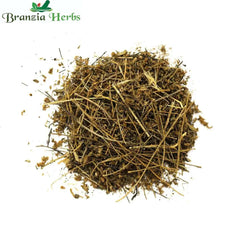 Shankhapushpi - Shankhawali - Sankhpushpi - Convolvulus Pluricaulis - Branzia Herbs