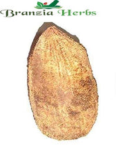 Ekakshee/Ekakshi Nariyal/One Eye Coconut for Pooja Vastu & Fengshui