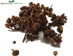 Andaliman Pepper Wholesale - Branzia Herbs
