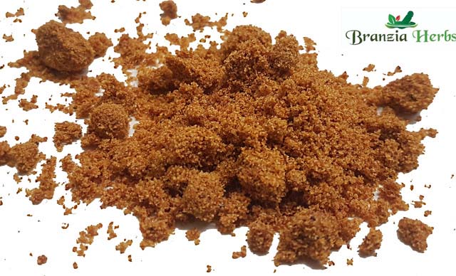 Mace Ground Powder Wholesale - Branzia Herbs