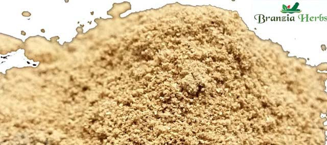 Mango Powder Wholesale - Branzia Herbs