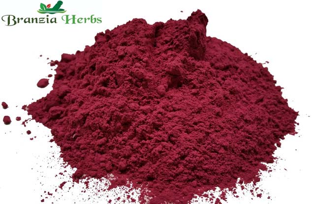Beetroot Powder Wholesale - Branzia Herbs
