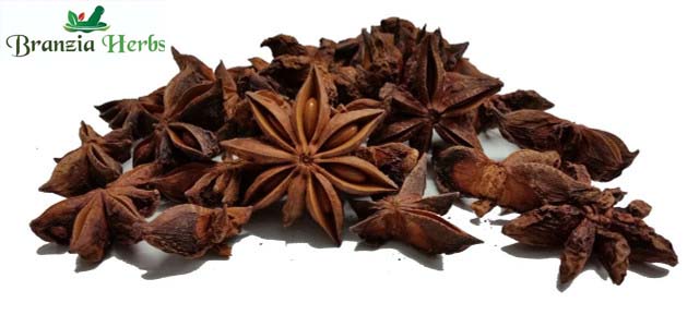 Star Anise Wholesale - Branzia Herbs