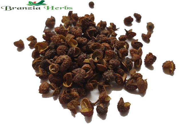 Bhutan Lemon Pepper - Sichuan Pepper Wholesale - Branzia Herbs