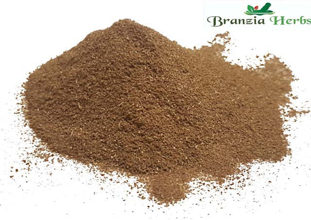 Tarragon Ground Powder Wholesale - Branzia Herbs