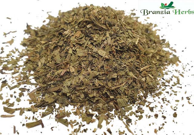 Tarragon Organic Wholesale - Branzia Herbs