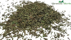 Tarragon Wholesale - Branzia Herbs