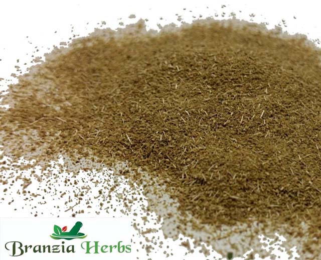 Thyme Ground Powder Wholesale - Branzia Herbs