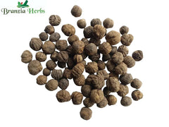 Burma Teak Wood (Treated Seeds) Seeds - Branzia Herbs