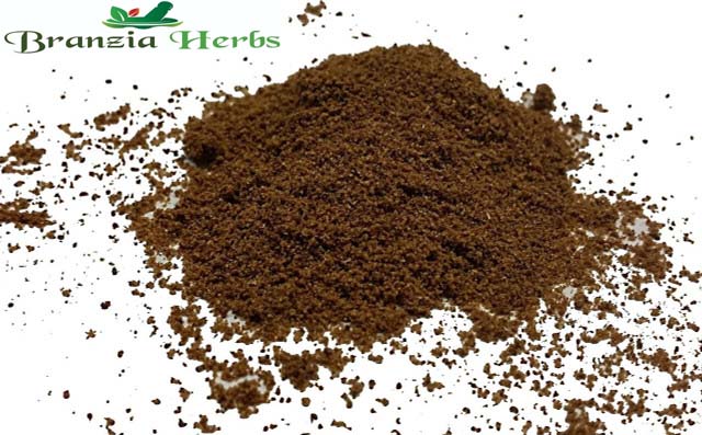 Celery Ground Powder Wholesale - Branzia Herbs
