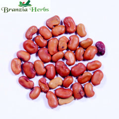 Sesbania Grandiflora (Agathi Red Flower) Tree Seed - Branzia Herbs
